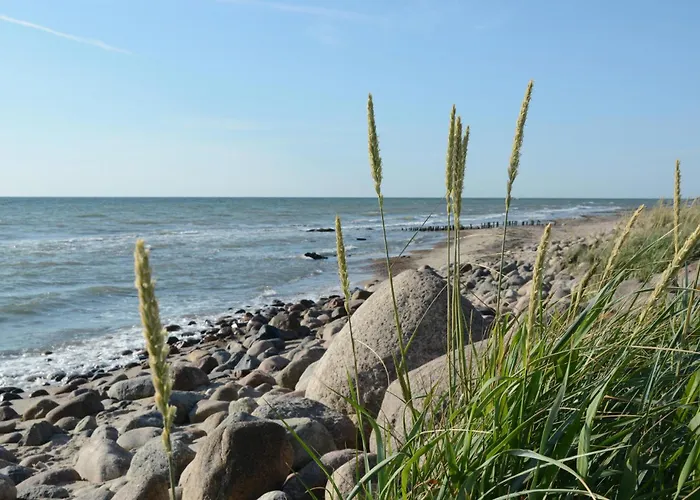 Seewolke Casa vacanze *